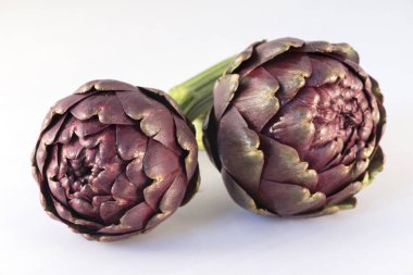 Beyaz arka planda, Carciofi Roma Artichoke (Cynara scolymus) 