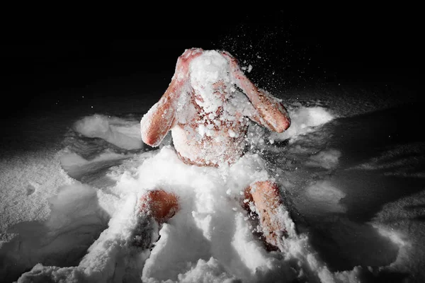 健康的な硬化 若い男は冷たい水の中で熱いサウナや風呂の後 雪の中でダイビングや散歩 体と精神の概念を強化する — ストック写真