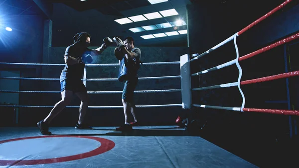 带手套的职业拳击手在室内拳击台上打斗 — 图库照片