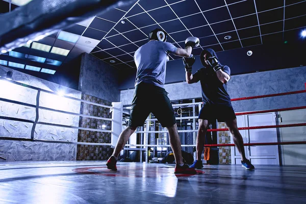 Boxer Professionisti Con Guanti Allenano Combattimenti Nel Ring Boxe Indoor — Foto Stock