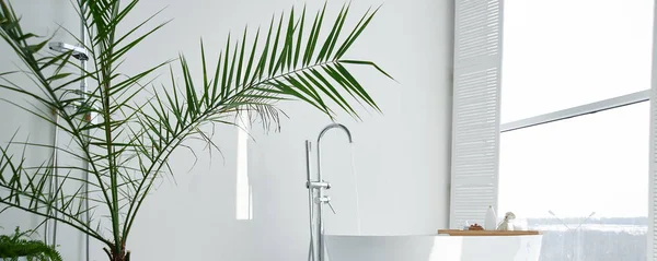 Beyaz Banyo Modern Mekan Çiçekleri Penceresi Kaplıcası Olan Lüks Bir — Stok fotoğraf