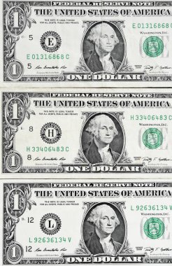 bir dolar faturaları 
