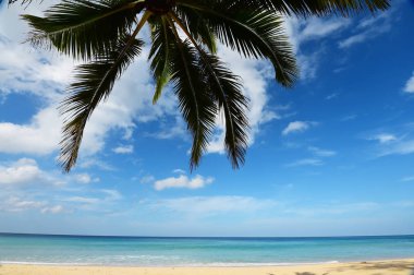 Güzel sahil ve tropikal deniz 