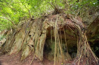 Bir dağ mağaralarda 