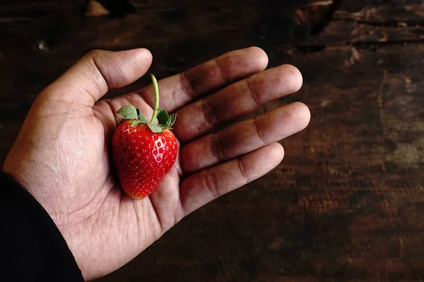 Morango na mão — Fotografia de Stock