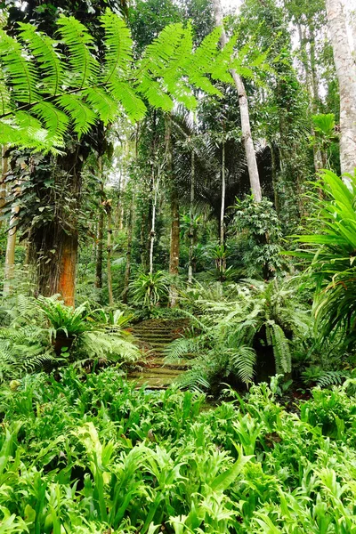 Detalles de la naturaleza — Foto de Stock