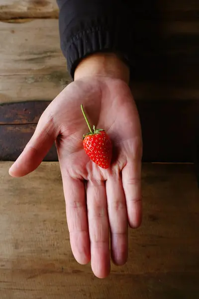 Fresa en mano — Foto de Stock