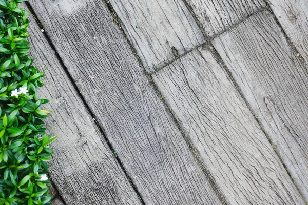Doğa ayrıntılarını 