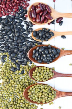 Fasulye ve mercimek
