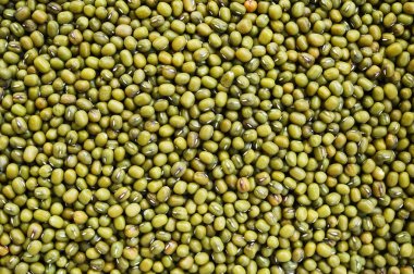 yeşil fasulyeler kasede 