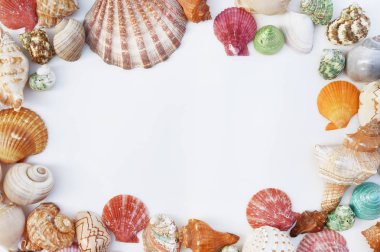 Beyaz arkaplanda izole edilmiş kabuklar