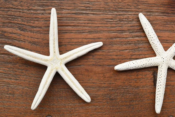 Starfish em fundo de madeira — Fotografia de Stock