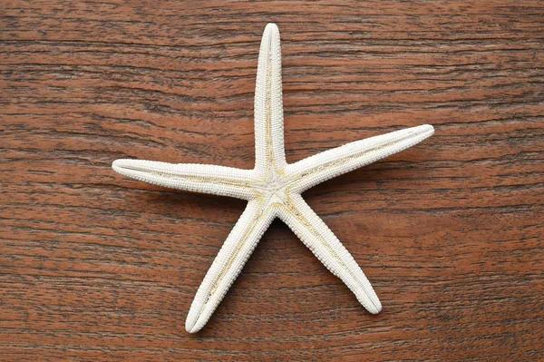 Starfish on wooden background — Stock Photo, Image
