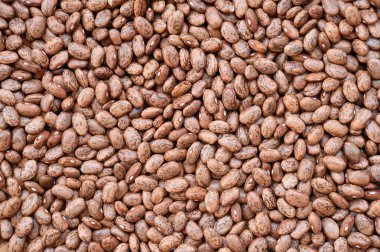 Pinto fasulye yakın çekim 