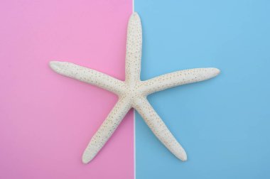 Arkaplan için deniz yıldızını kapat