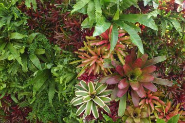 Arkaplan için doğanın detayları 