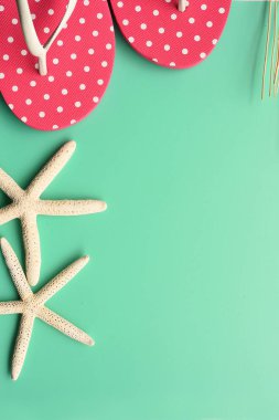 sandalet ve denizyıldızı arka plan için yakın çekim