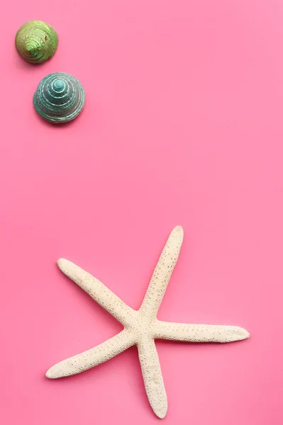 Conceito Verão Starfish Conchas Fundo Azul — Fotografia de Stock