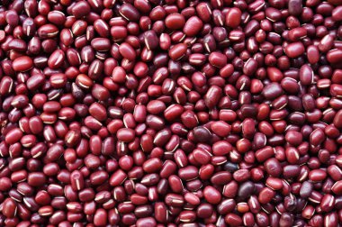 arkaplan için kırmızı fasulyeleri kapat