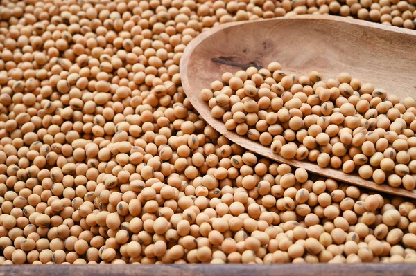 Close Soy Bean Background — Stock Photo, Image