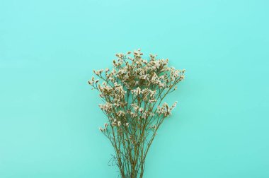 Güzel çiçek üstten görünüm mavi zemin üzerine