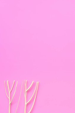 Pembe arkaplandaki beyaz mercanı kapat