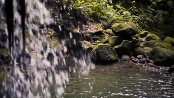 Wasserfall und tropisches Becken Zeitlupe — Stockvideo