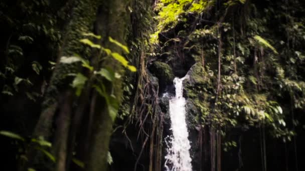 Tilt aşağı şelale ve tropikal Havuzu — Stok video