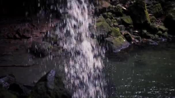 Waterval en tropisch zwembad — Stockvideo