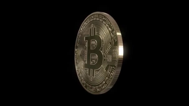 Bitcoin Ist Eine Digitale Währung Daher Ist Dieses Digitale Image — Stockvideo