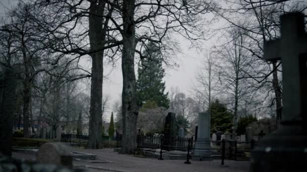 Questo Cimitero Classico Trova Karlstad Svezia Uno Dei Cimiteri Più — Video Stock