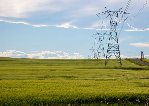 Tarladaki elektrik hatları