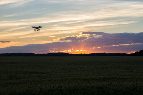 Turuncu günbatımı karşı kontrast dron