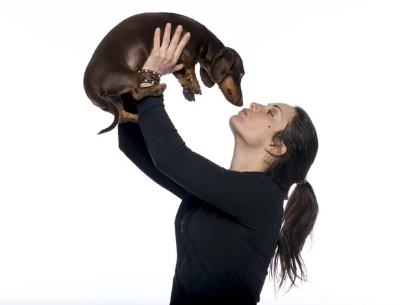 Beyaz esmer onu daksund köpek bir öpücük vererek havada tutar.