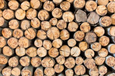 Arka plan ve doku için yığın Ahşap ahşap inşaat malzeme.