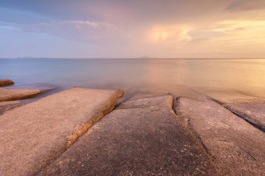 75 milyon yıl eski fosil kabuğu Krabi, Tayland.