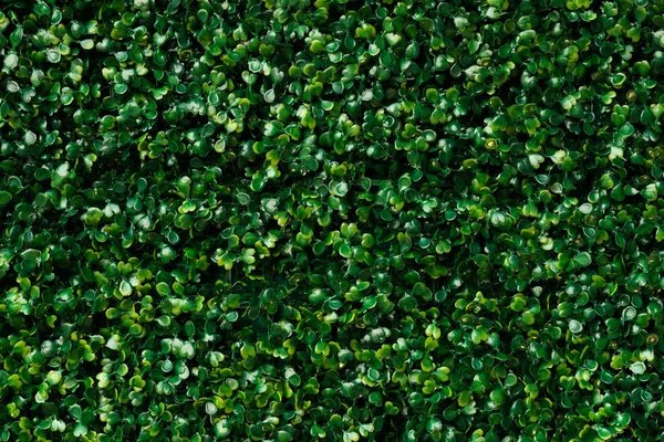 Artificial green grass - green leaves background texture. — Stock Photo, Image