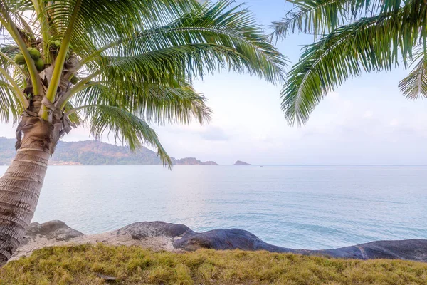 Palmera y playa en isla tropical por la mañana . — Foto de Stock