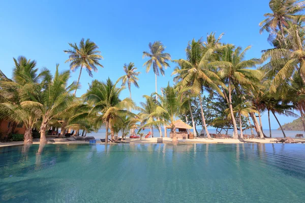 Piscina e palmeira em uma praia tropical. - Vocação de volta — Fotografia de Stock