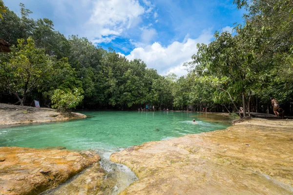 Zümrüt Havuzu Tayland 'ın Krabi kentindeki mangrov ormanlarında görülmez..
