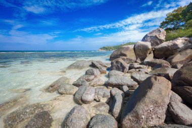 Güzel doğal taş özgürlük beach, Koh Tao Tayland tropikal plaj.