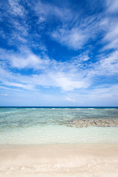 Beautiful coral near the tropical beach at Freedom beach, Koh Tao in Thailand.