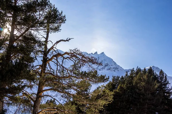 Paisaje invernal, montañas de nieve — Foto de Stock