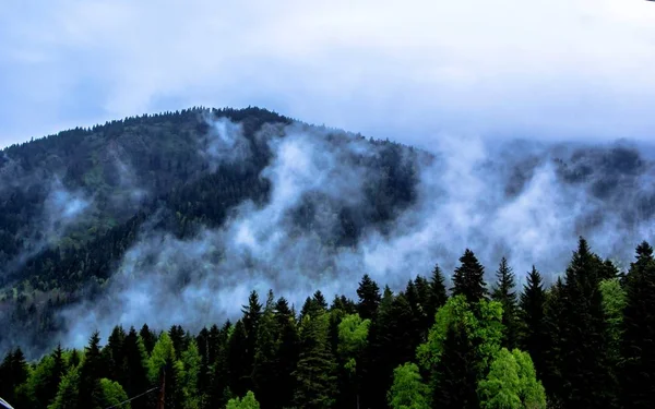 Die Bergschlucht im Nebel — Stockfoto