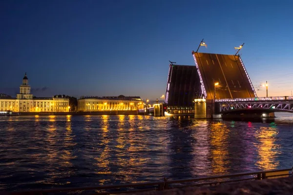 Palatsbron, Sankt Petersburg — Stockfoto