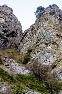 dağ manzarası, vahşi doğa