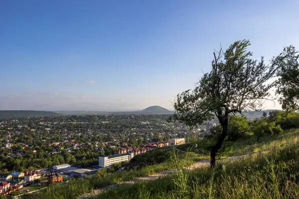 Şehir manzarası, yeşil ağaçlar bir pitoresk yamaç