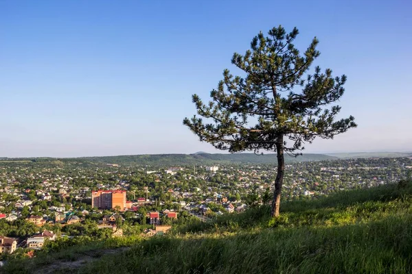 Şehir manzarası, yeşil ağaçlar bir pitoresk yamaç