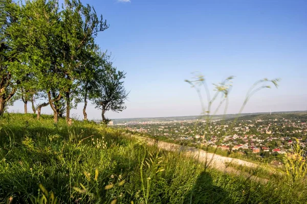 Городской пейзаж, зеленые деревья на живописном склоне — стоковое фото