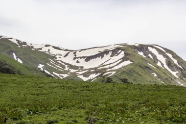 Dağ manzarası, pitoresk tesisi